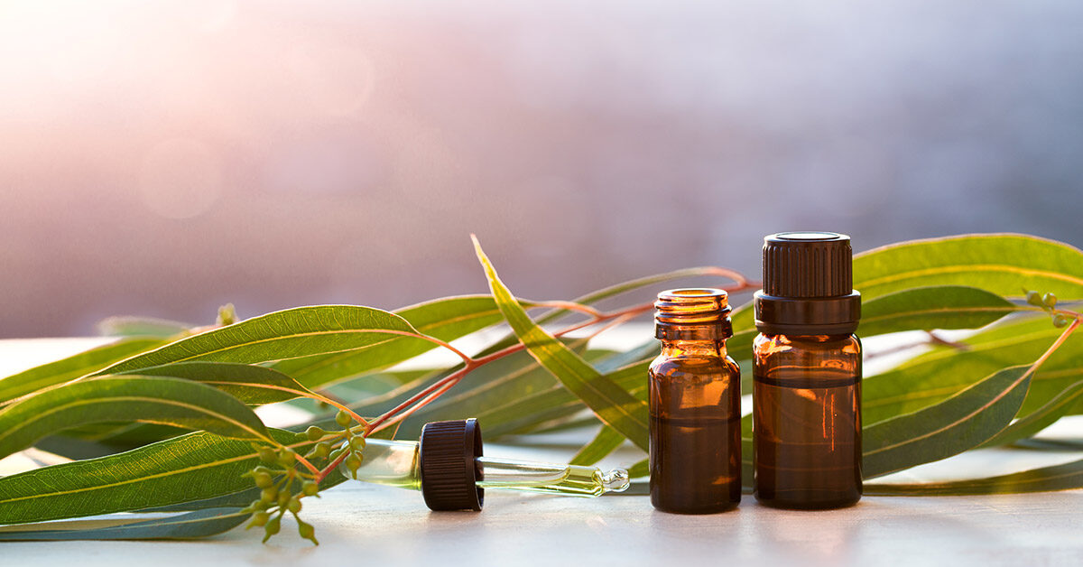  essential oils for congestion - Eucalyptus