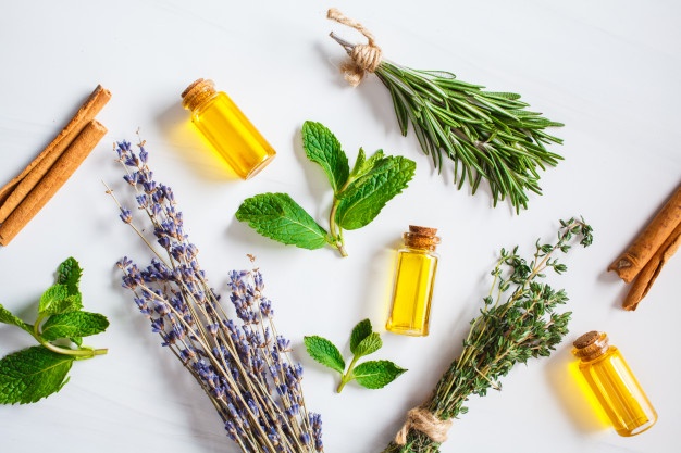  essential oils for congestion - Thyme: 