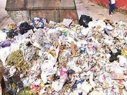 Chandigarh civic body to initiate legal action against violators for dumping garbage